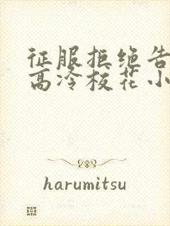 征服拒绝告白的高冷校花小说