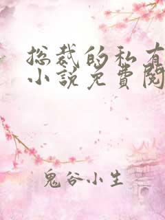 总裁的私有宝贝小说免费阅读全文