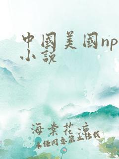 中国美国npc小说