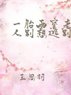 一胎两宝老婆大人别想逃别想