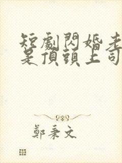 短剧闪婚老公竟是顶头上司大结局