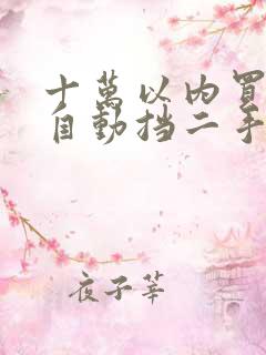 十万以内买什么自动挡二手车好