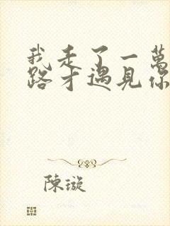 我走了一万里的路才遇见你