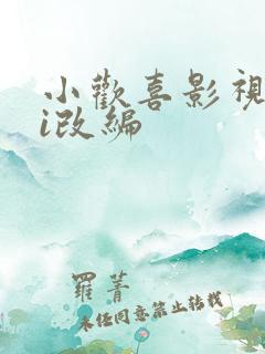 小欢喜影视剧hi改编