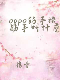 oppo的手机助手叫什么?