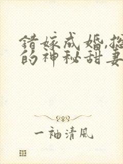 错嫁成婚,总裁的神秘甜妻