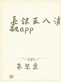 长银五八消费金融app