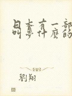 日本有一部电影叫梦什么的