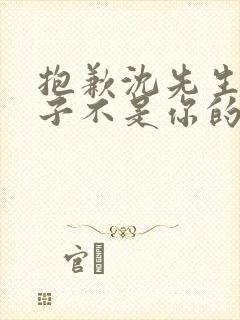 抱歉沈先生,孩子不是你的短剧播放