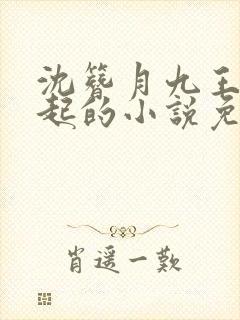 沈簪月九王傅云起的小说免费阅读