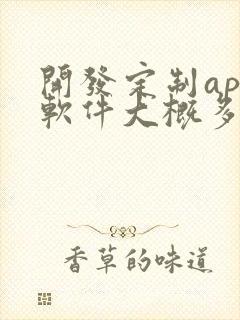 开发定制app软件大概多少钱