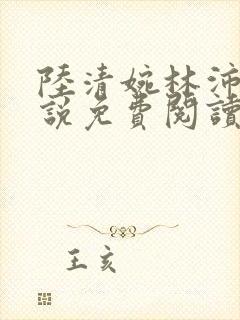 陆清婉林沛琛小说免费阅读最新章节