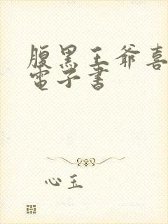 腹黑王爷喜当爹电子书