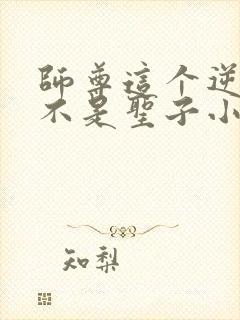 师尊这个逆徒才不是圣子小说免费