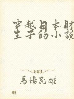 穿越日本财阀独生子的小说