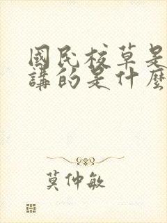 国民校草是女生讲的是什么