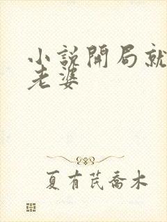 小说开局就要选老婆