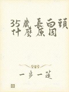 35岁长白头发什么原因