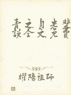 青之月光裴珞小说全文免费阅读