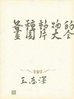 各种动物的简笔画图片大全