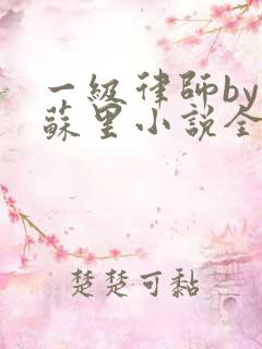 一级律师by木苏里小说全文免费阅读