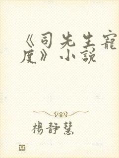 《司先生宠妻无度》小说