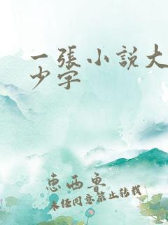 一张小说大概多少字