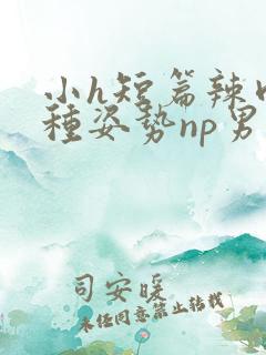 小h短篇辣肉各种姿势np男男