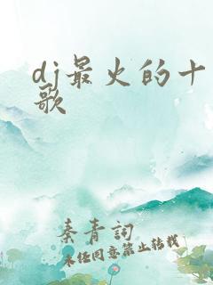 dj最火的十首歌