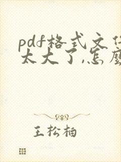 pdf格式文件太大了,怎么压缩大小