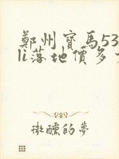 郑州宝马530li落地价多少钱