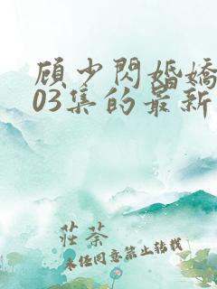 顾少闪婚娇妻103集的最新章节内容