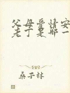 父母爱情安杰骂老丁是哪一集