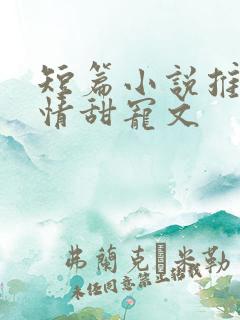 短篇小说推荐言情甜宠文