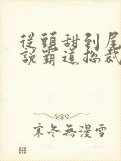 从头甜到尾的小说霸道总裁