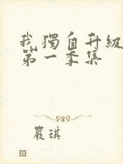 我独自升级动漫第一季集