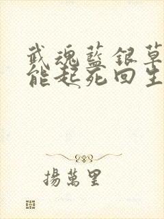 武魂蓝银草,我能起死回生免费