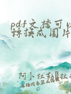 pdf文档可以转换成图片吗