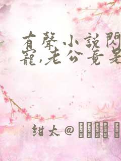 有声小说闪婚成宠,老公竟是千亿大佬