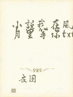 小说我在风花雪月里等你txt