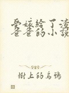 受嫁给了渣攻的爸爸的小说