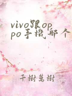 vivo跟oppo手机哪个好用