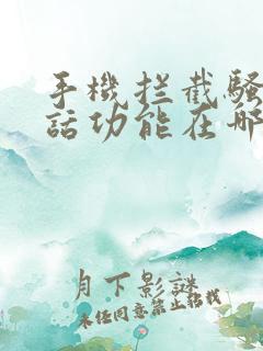 手机拦截骚扰电话功能在哪里