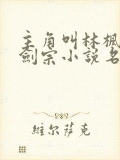 主角叫林枫神霄剑宗小说名字