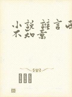 小说 谁言西洲不知意