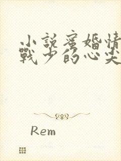 小说蜜婚情深:战少的心尖宠免费阅读