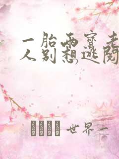 一胎两宝老婆大人别想逃阅读