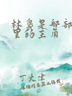 林枭是哪部小说里的主角