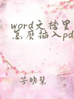 word文档里怎么插入pdf文件
