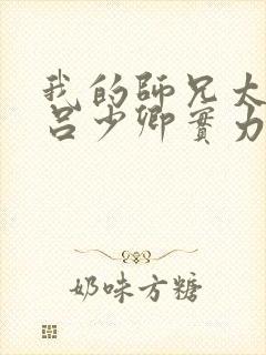 我的师兄太强了吕少卿实力